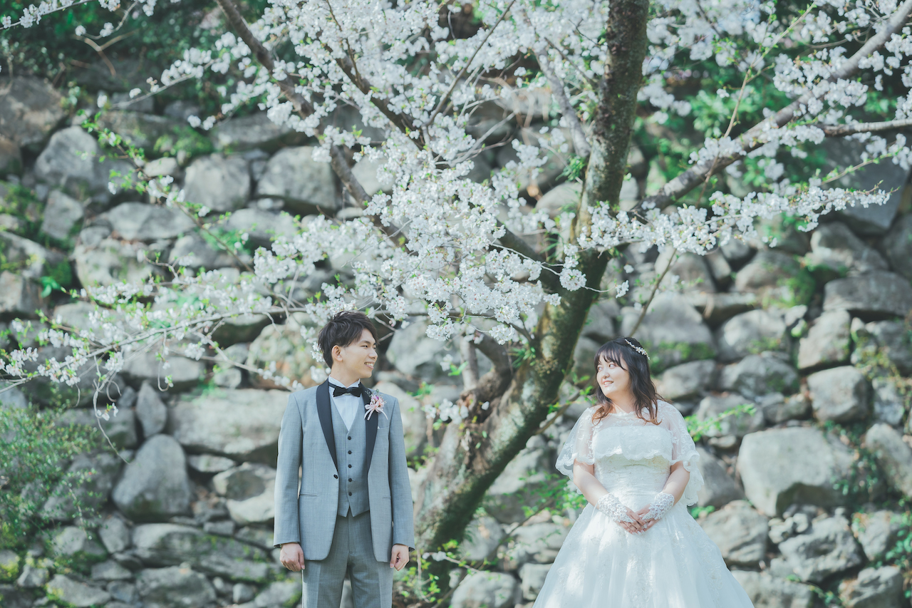 新郎と新婦が桜の下で見つめ合っている写真
