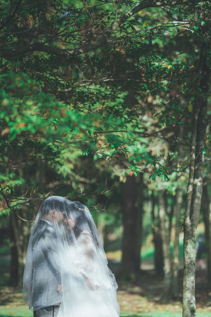 新郎と新婦が木の下でベールを被ってお互いを見つめ合っている写真