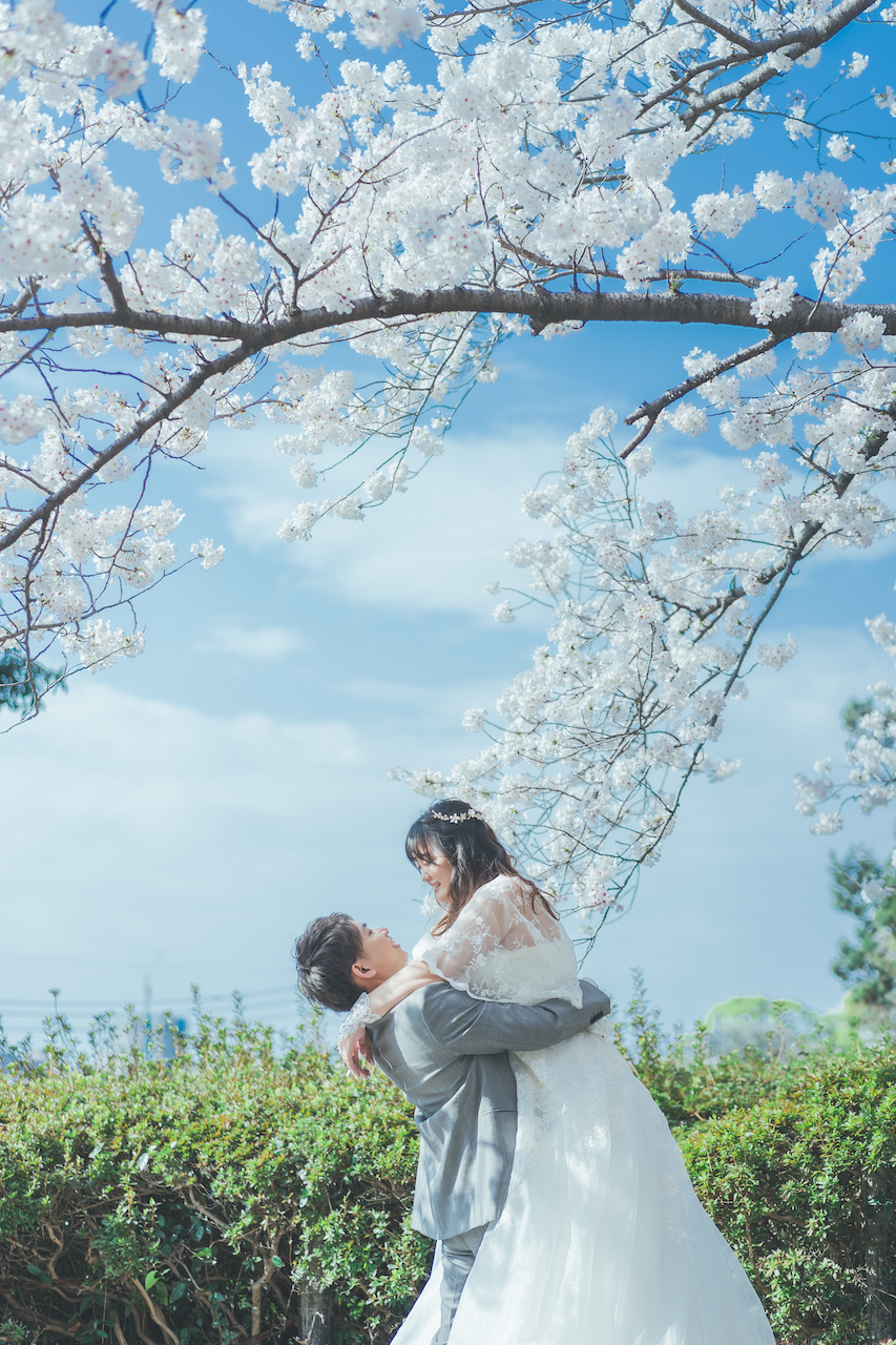 新郎が桜の下で新婦を抱きかかえている写真