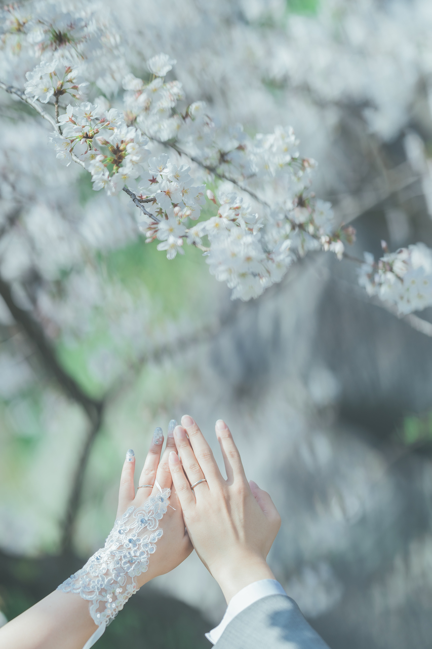 新郎と新婦が桜の下に手を掲げている写真