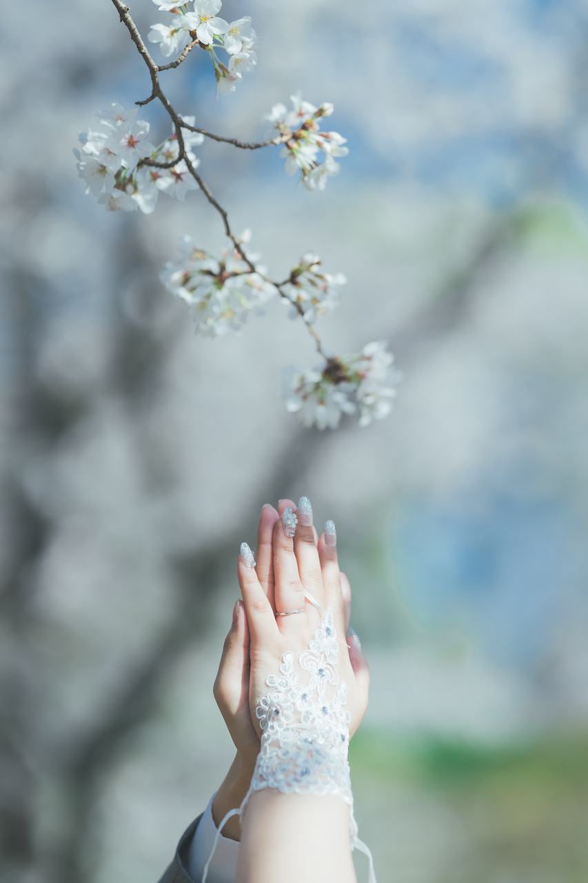 新郎と新婦が桜の下で手を合わせている写真